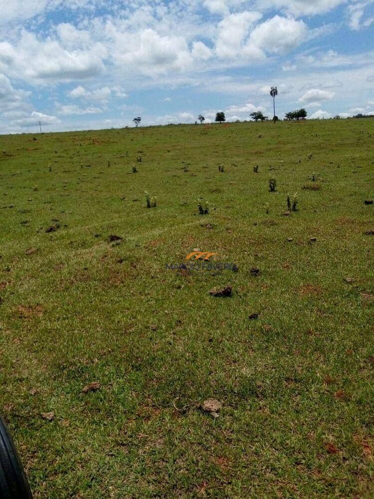 Fazenda, 624 hectares - Foto 2