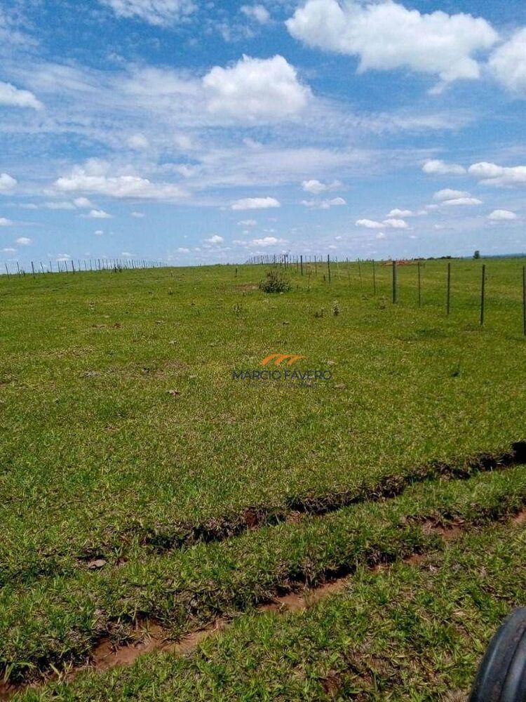 Fazenda, 624 hectares - Foto 5