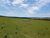 Fazenda-Sítio-Chácara, 624 hectares - Foto 3