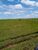 Fazenda-Sítio-Chácara, 624 hectares - Foto 5