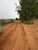 Sítio, 41 hectares - Foto 1