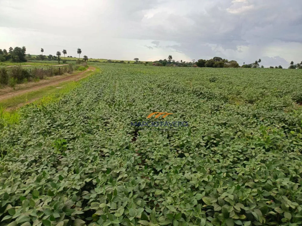 Fazenda, 140 hectares - Foto 16