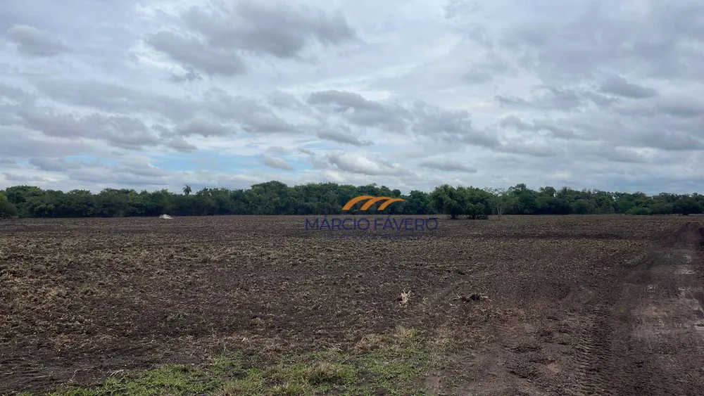 Fazenda, 140 hectares - Foto 1