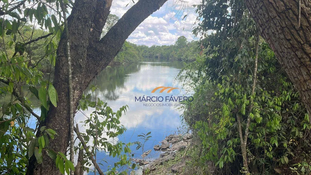 Fazenda, 140 hectares - Foto 4