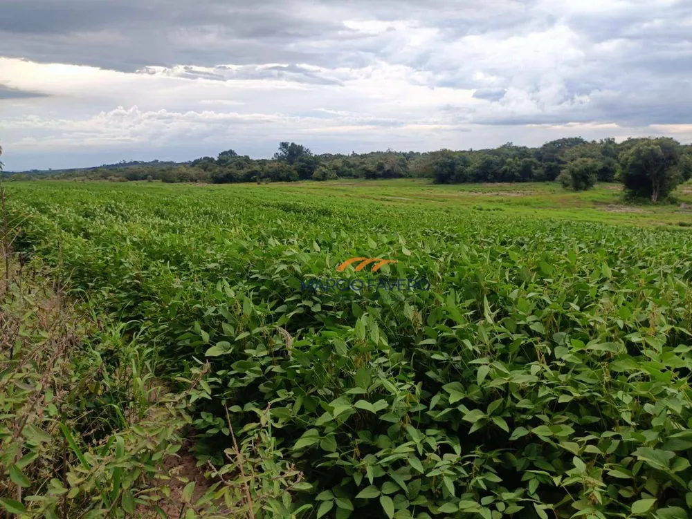 Fazenda, 140 hectares - Foto 14