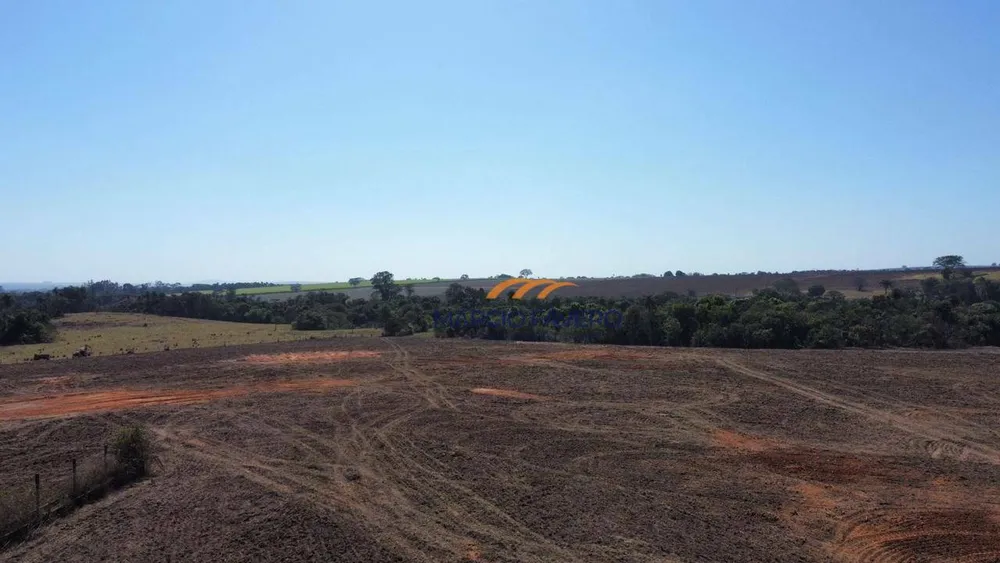 Fazenda, 140 hectares - Foto 3