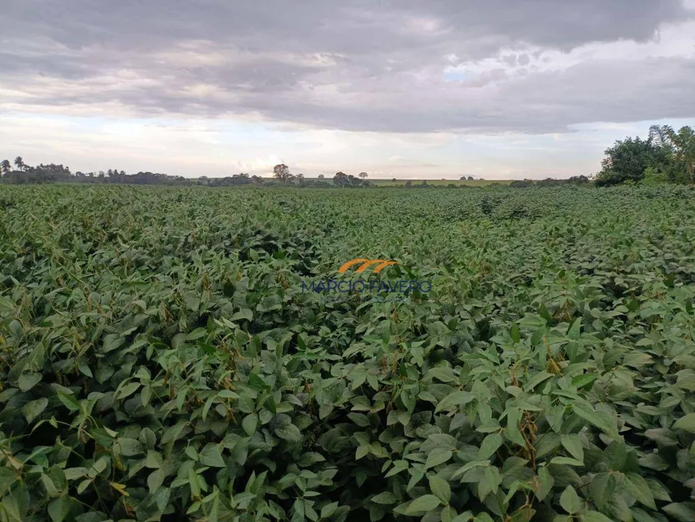 Fazenda, 140 hectares - Foto 11