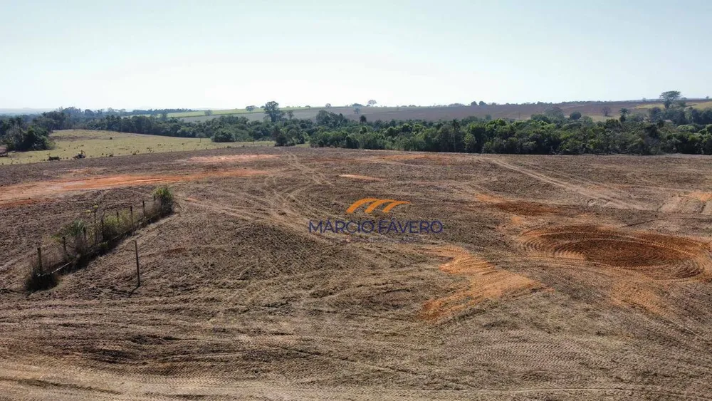Fazenda, 140 hectares - Foto 2