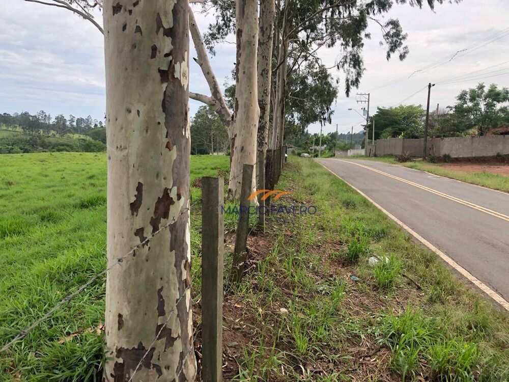 Fazenda, 581 hectares - Foto 2