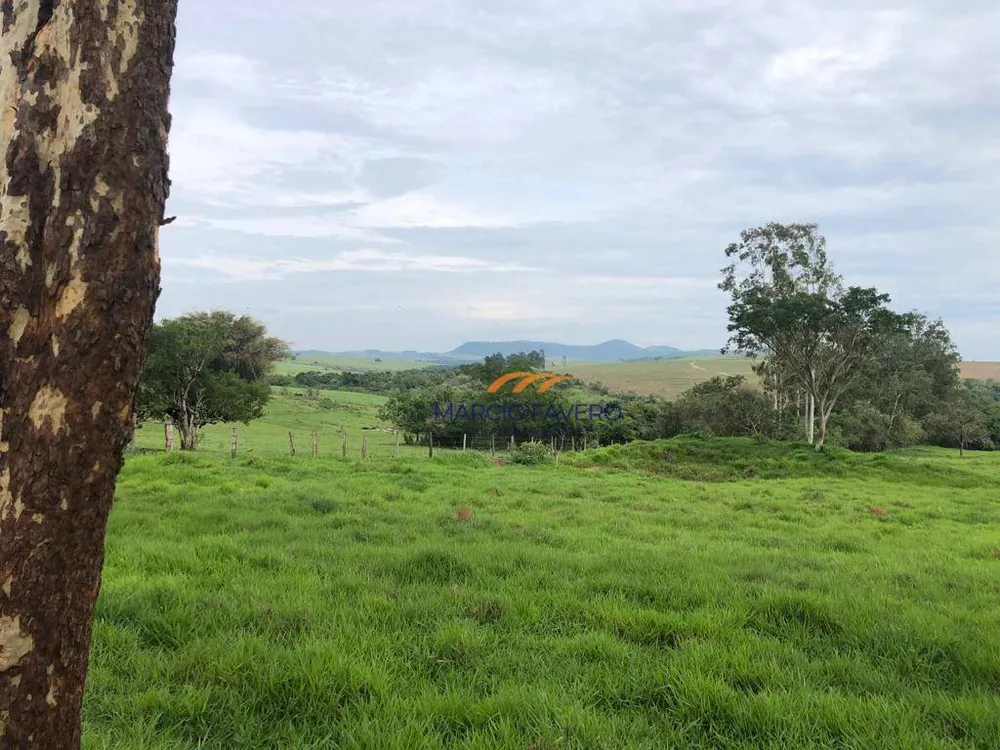 Fazenda, 581 hectares - Foto 11