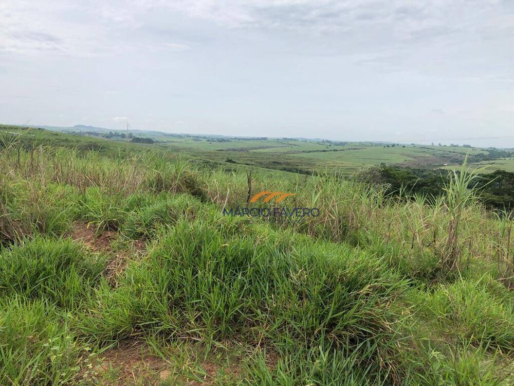 Fazenda, 581 hectares - Foto 12