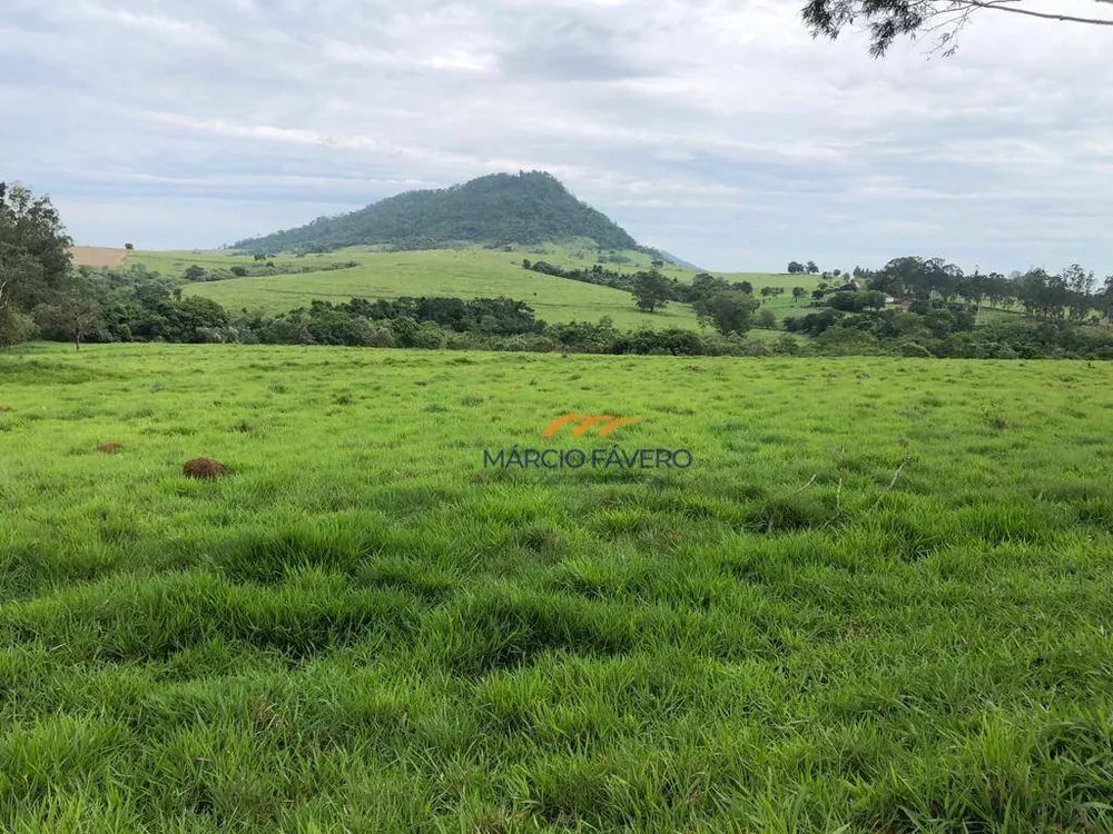 Fazenda, 581 hectares - Foto 1
