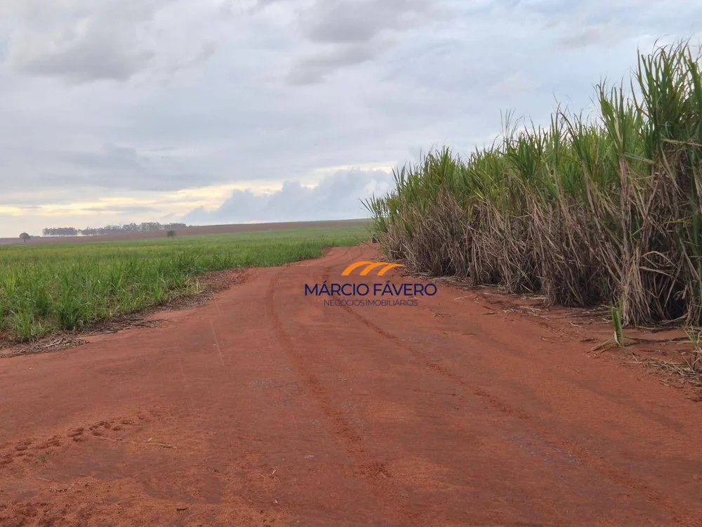 Fazenda, 702 hectares - Foto 7
