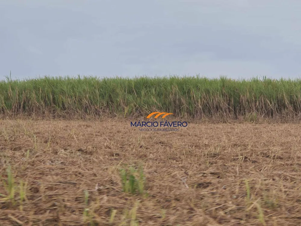 Fazenda, 702 hectares - Foto 10