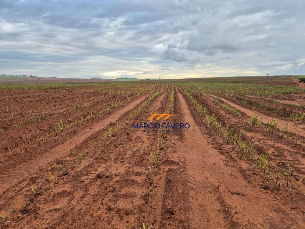 Fazenda, 702 hectares - Foto 13