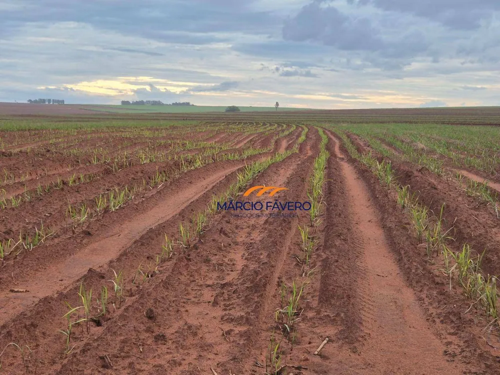 Fazenda, 702 hectares - Foto 8