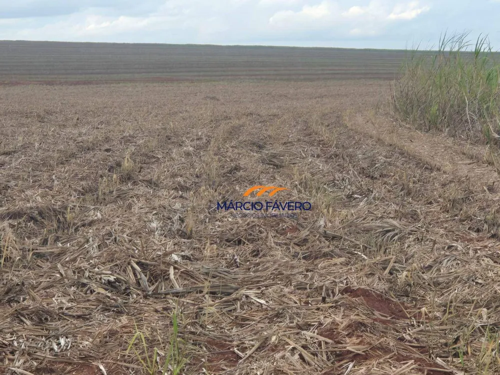 Fazenda, 702 hectares - Foto 11