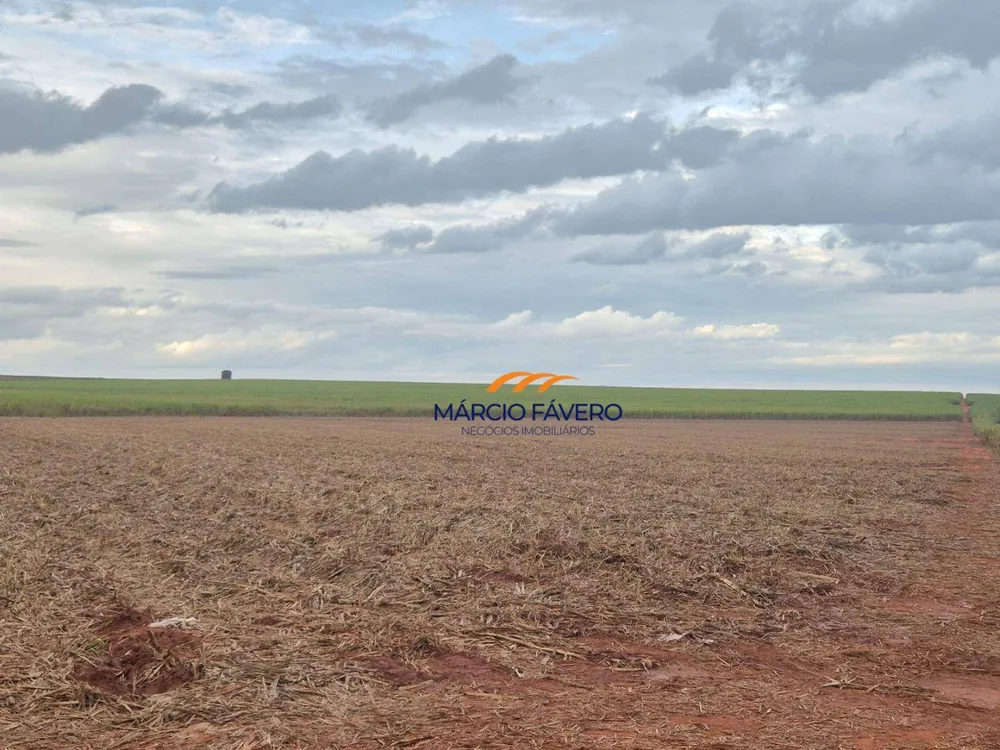Fazenda, 702 hectares - Foto 2