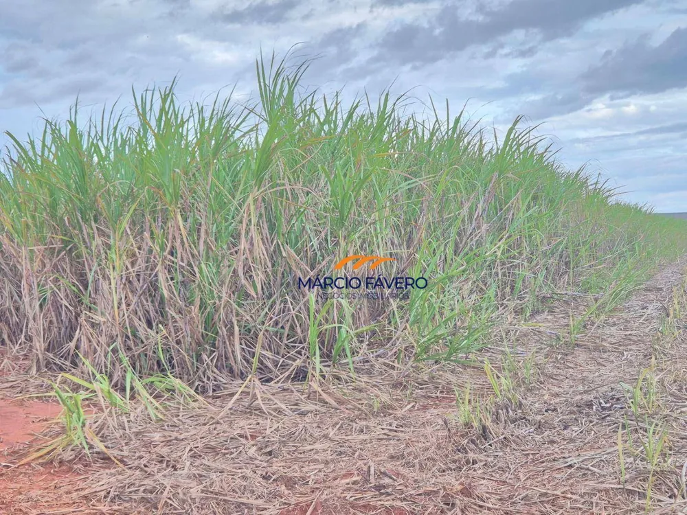 Fazenda, 702 hectares - Foto 12