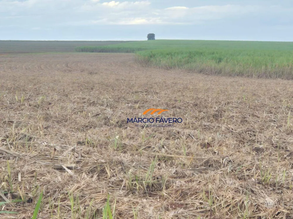 Fazenda, 702 hectares - Foto 6