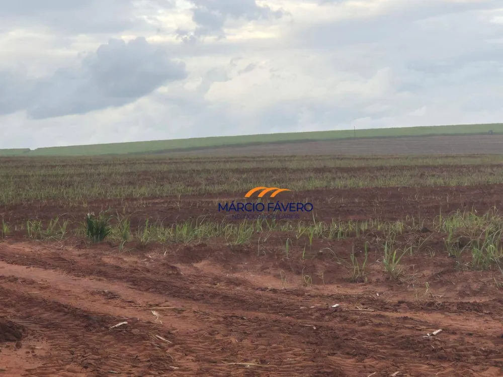 Fazenda, 702 hectares - Foto 4