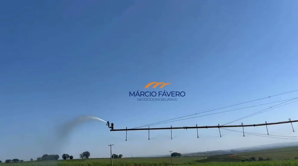 Fazenda, 156 hectares - Foto 11