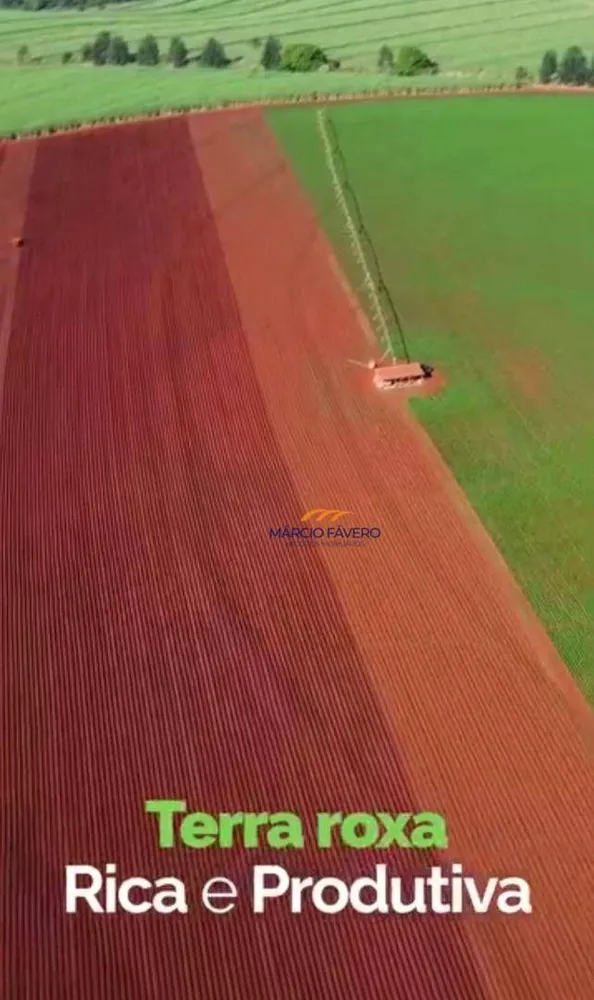 Fazenda, 156 hectares - Foto 6