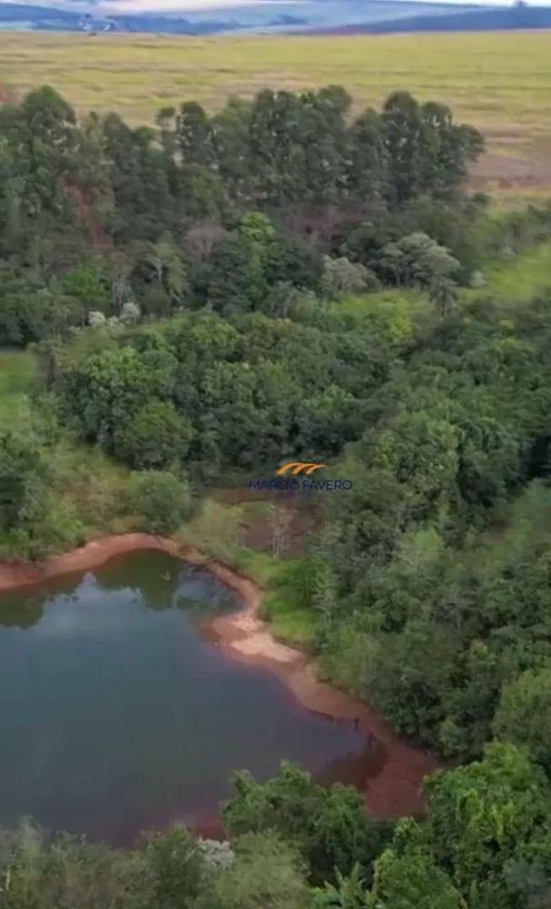 Fazenda, 156 hectares - Foto 8
