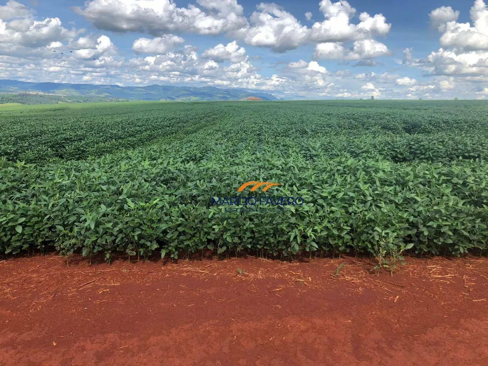 Fazenda, 156 hectares - Foto 2
