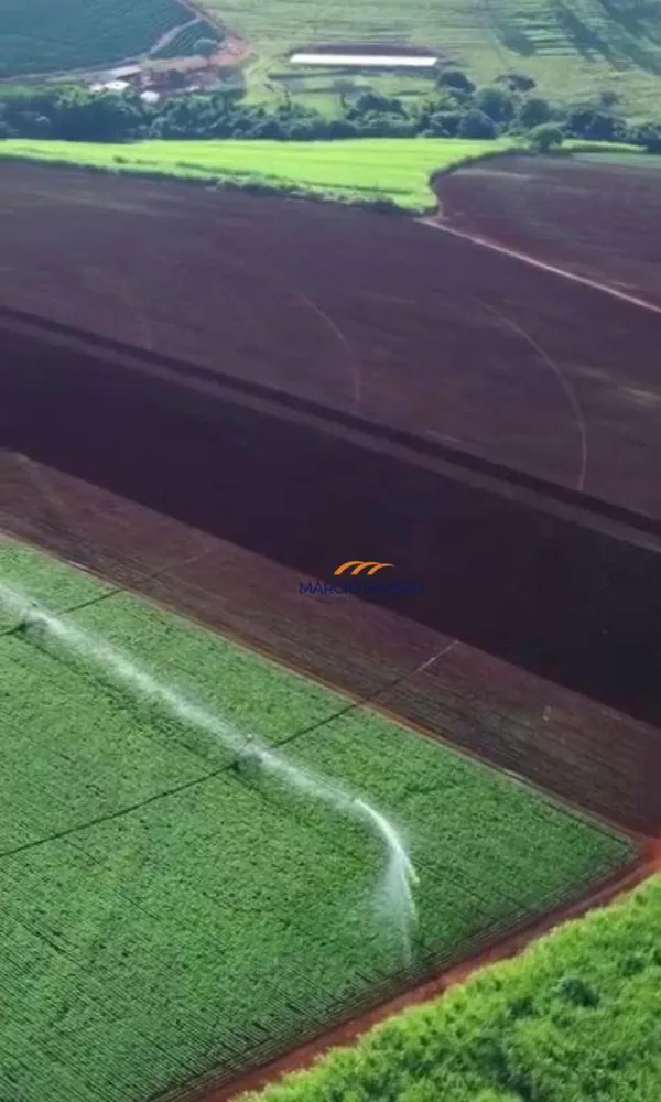 Fazenda, 156 hectares - Foto 1