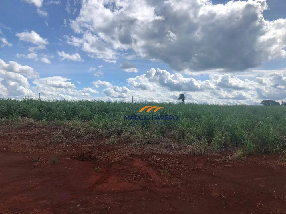 Fazenda, 156 hectares - Foto 7