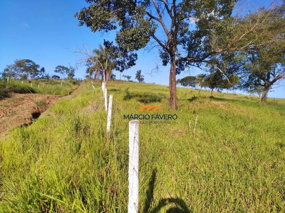 Fazenda, 121 hectares - Foto 3