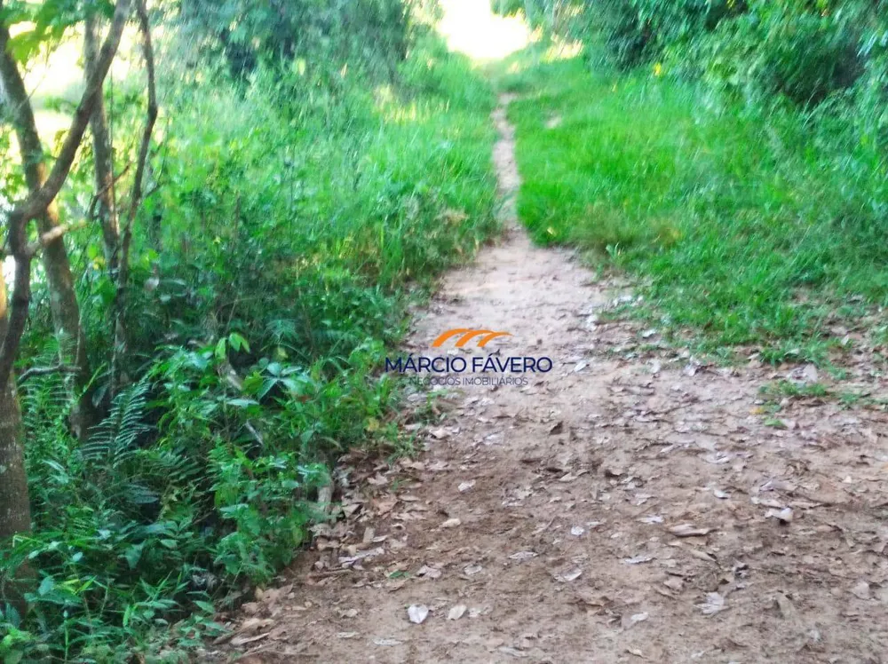Fazenda, 121 hectares - Foto 4