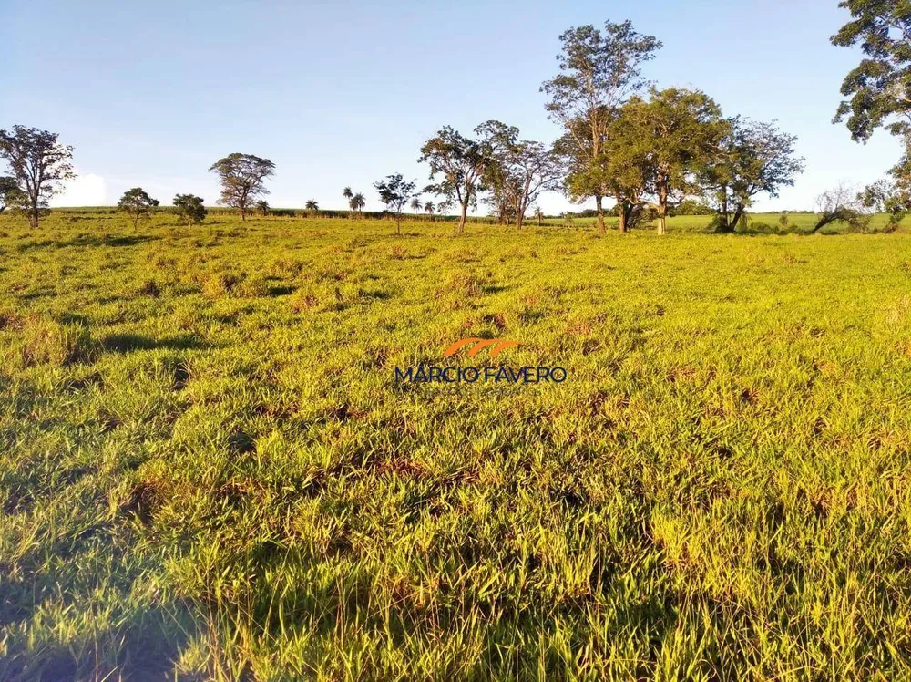 Fazenda, 121 hectares - Foto 2