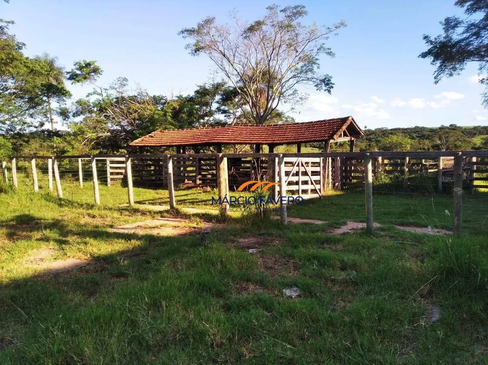 Fazenda, 121 hectares - Foto 6