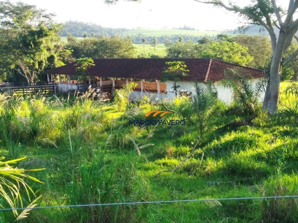 Fazenda, 121 hectares - Foto 10