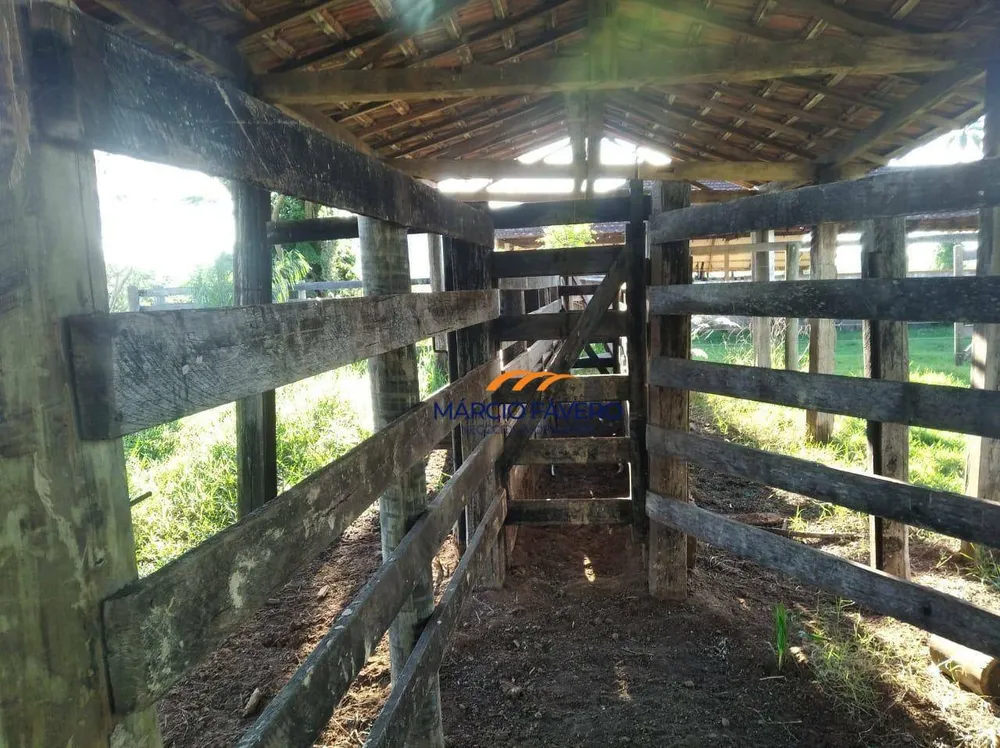 Fazenda, 121 hectares - Foto 12