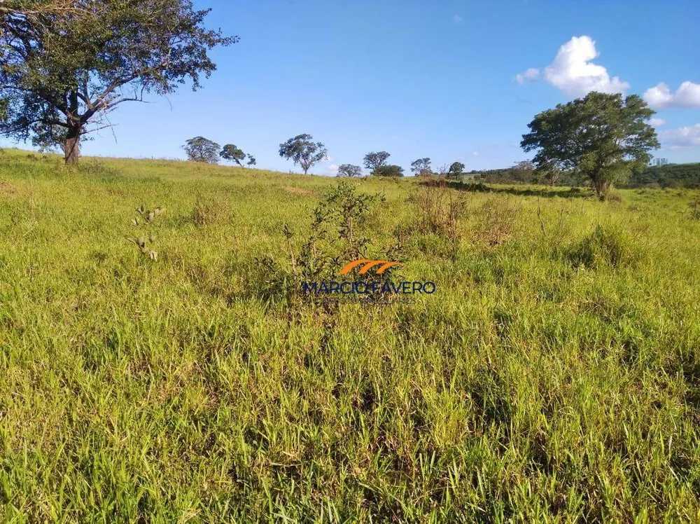 Fazenda, 121 hectares - Foto 11