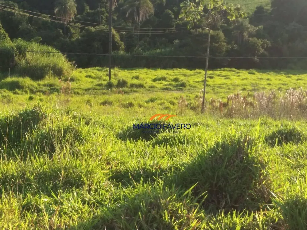 Fazenda, 121 hectares - Foto 13