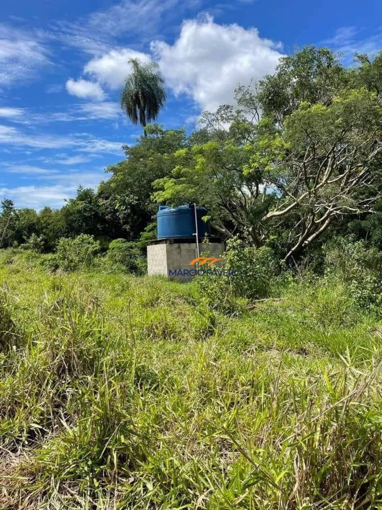 Fazenda, 121 hectares - Foto 7