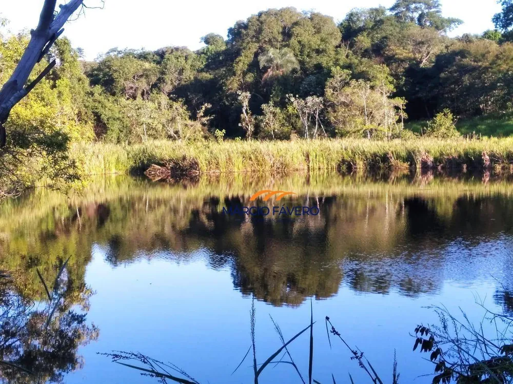 Fazenda, 121 hectares - Foto 9