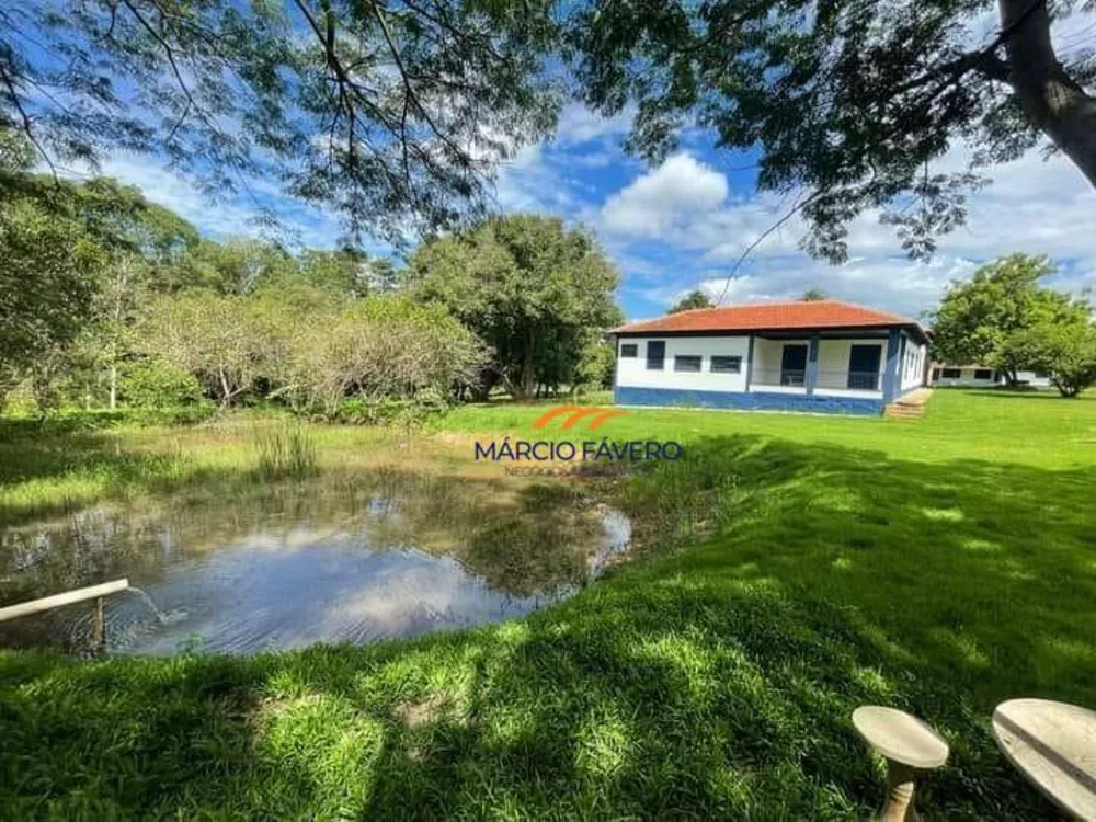 Fazenda, 121 hectares - Foto 8