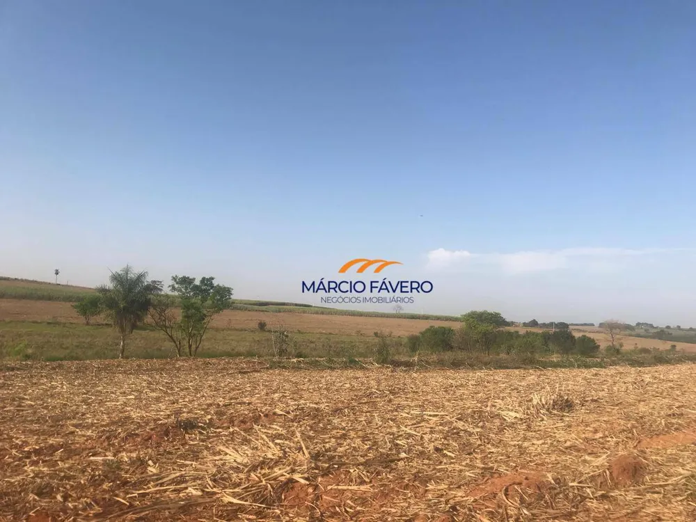 Fazenda, 182 hectares - Foto 2