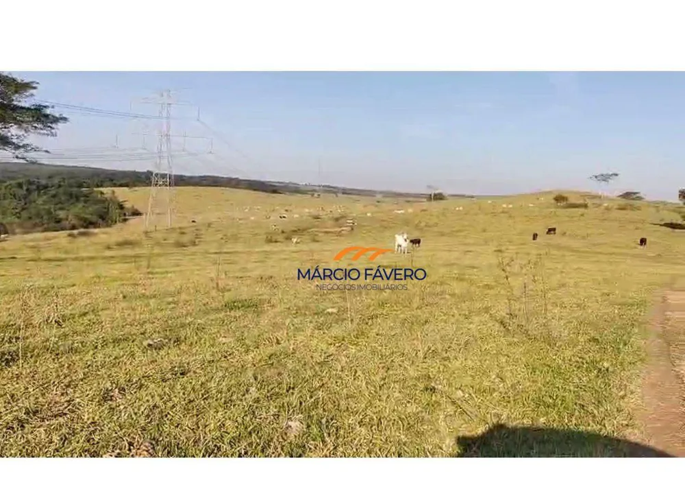 Fazenda, 557 hectares - Foto 1