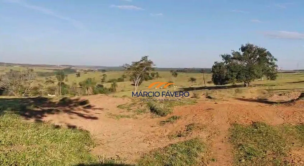 Fazenda, 557 hectares - Foto 9