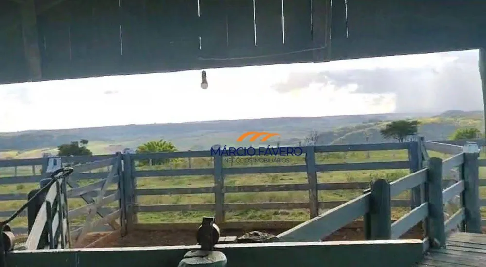 Fazenda, 557 hectares - Foto 7