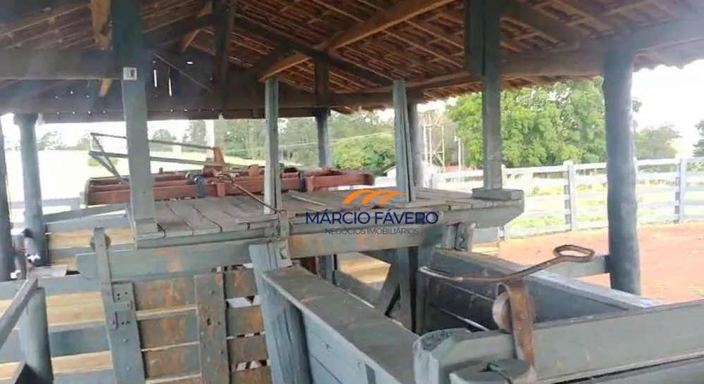 Fazenda, 557 hectares - Foto 8