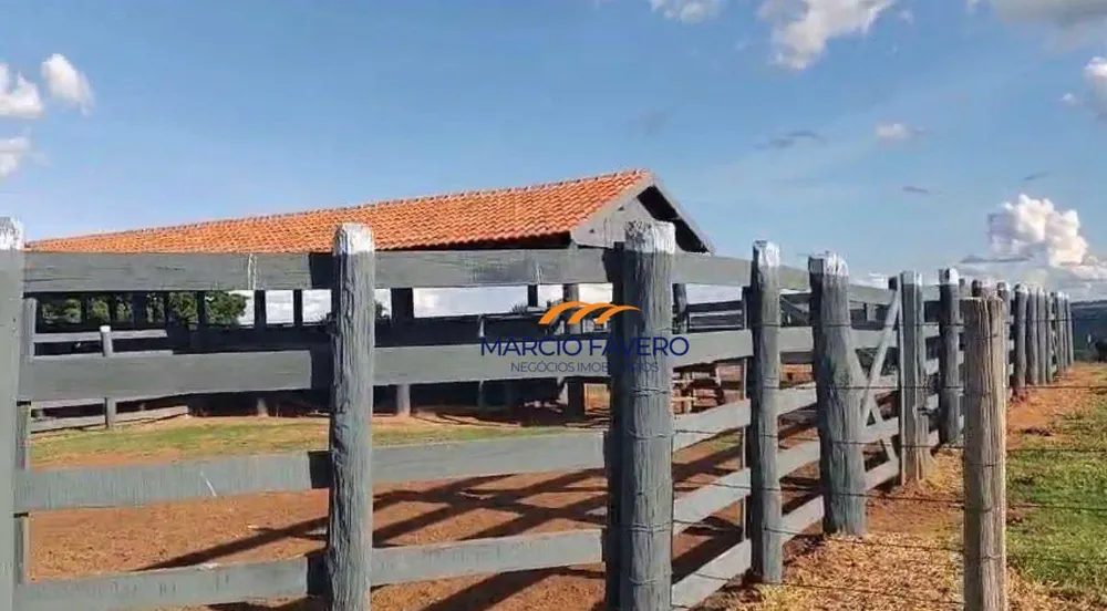Fazenda, 557 hectares - Foto 6