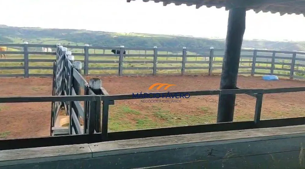 Fazenda, 557 hectares - Foto 5
