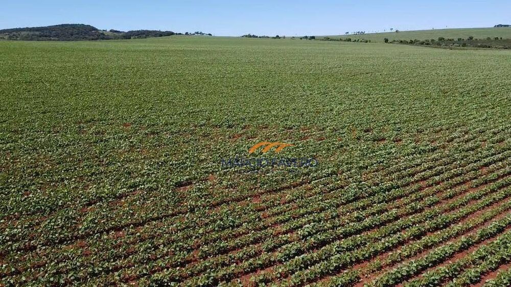 Fazenda, 121 hectares - Foto 16